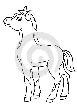 Coloring pages. Farm animals. Little cute foal.