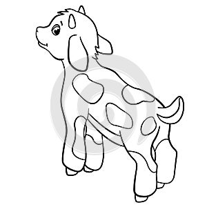 Coloring pages. Farm animals. Little cute goatling.