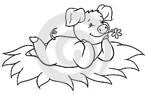 Coloring pages: farm animals. Little cute pig lies on the grass and smiles.