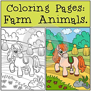 Coloring Pages: Farm Animals. Little cute pony .