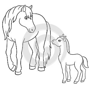 Coloring pages. Farm animals. Mother horse with foal.