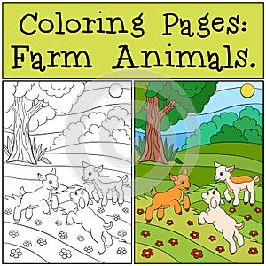 Coloring Pages: Farm Animals. Three little cute baby goats.