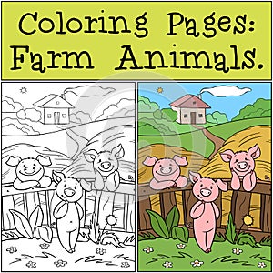 Coloring Pages: Farm Animals. Three little cute pigs are near the fence on the farm.