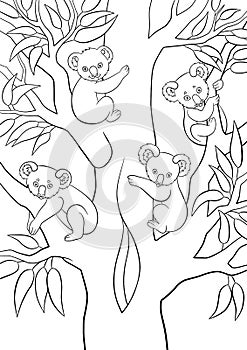 Coloring pages. Four koala babies sit on the tree