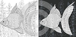 Coloring pages with Gold Fish