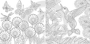 Coloring pages with hummingbird, butterfly and flowers