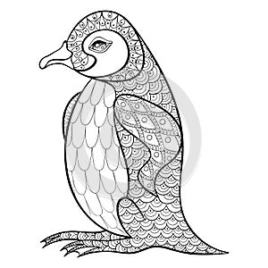 Coloring pages with King Penguin, zentangle illustartion for adult anti stress Coloring books or tattoos with high details