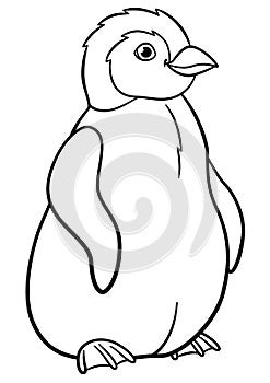 Coloring pages. Little cute baby penguin smiles