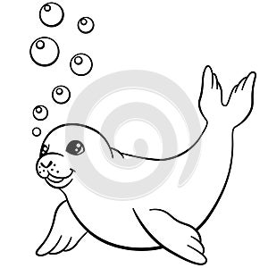 Coloring pages. Little cute baby seal swims.