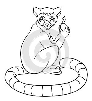 Coloring pages. Little cute lemur with fruit.