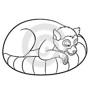 Coloring pages. Little cute lemur sleeps.