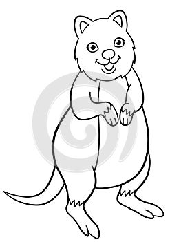 Coloring pages. Little cute quokka smiles