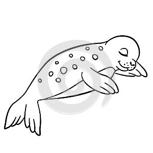 Coloring pages. Little cute spotted baby seal.