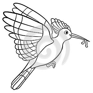 Coloring pages. Mother hoopoe holds a worm in her beak