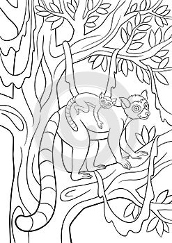 Coloring pages. Mother lemur with her little cute baby.