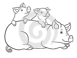 Coloring pages. Mother pig with her two little cute piglets