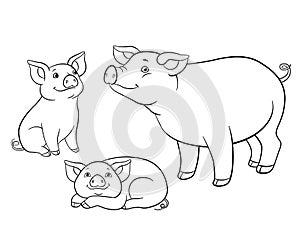 Coloring pages. Mother pig with her two little cute piglets