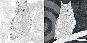 Coloring pages with Owl