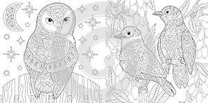 Coloring pages set with owl and birds