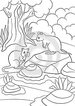 Coloring pages. Two little cute quokkas in the forest