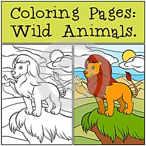 Coloring Pages: Wild Animals. Cute beautiful lion .
