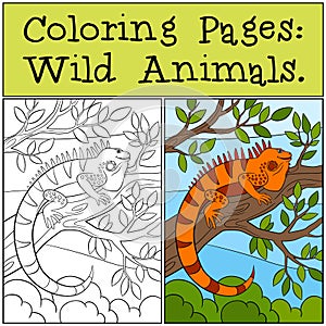 Coloring Pages: Wild Animals. Cute orange iguana.