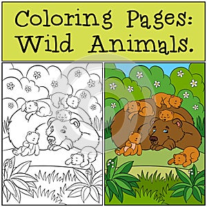 Coloring Pages: Wild Animals. Daddy bear