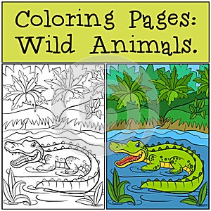 Coloring Pages: Wild Animals. Little cute alligator.