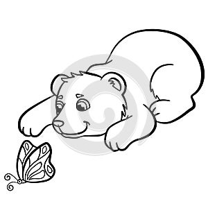 Coloring pages. Wild animals. Little cute baby bear.