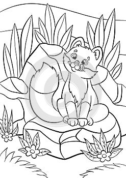 Coloring pages. Wild animals. Little cute baby fox looks at the bug.