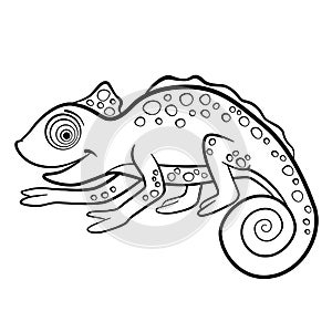 Coloring pages. Wild animals. Little cute chameleon.