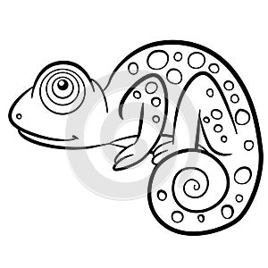 Coloring pages. Wild animals. Little cute chameleon.