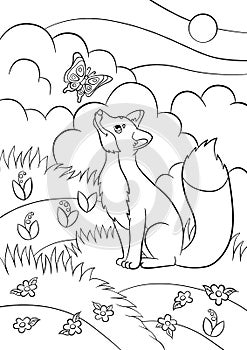 Coloring pages. Wild animals. Little cute fox looks at the butterfly.