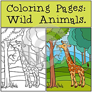 Coloring Pages: Wild Animals. Little cute giraffe.