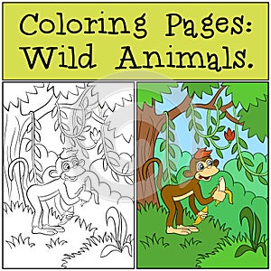 Coloring Pages: Wild Animals. Little cute monkey.