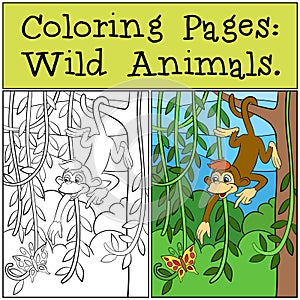 Coloring Pages: Wild Animals. Little cute monkey.