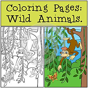 Coloring Pages: Wild Animals. Little cute monkey. photo