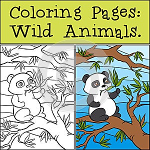 Coloring Pages: Wild Animals. Little cute panda.