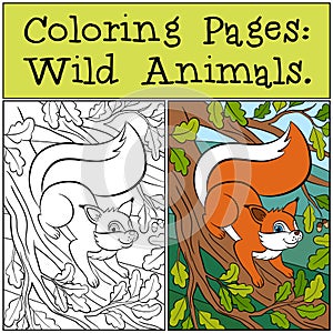 Coloring Pages: Wild Animals. Little cute squirrel .
