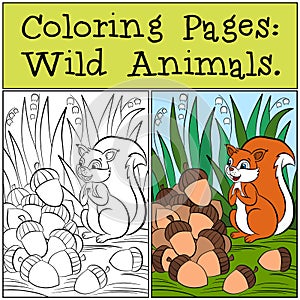 Coloring Pages: Wild Animals. Little cute squirrel.