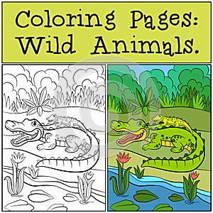 Coloring Pages: Wild Animals. Mother alligator