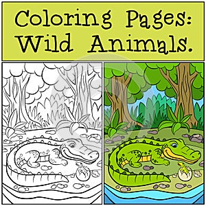 Coloring Pages: Wild Animals. Mother alligator