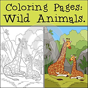 Coloring Pages: Wild Animals. Mother giraffe lays with her little cute baby giraffe. They smile