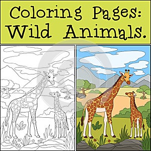 Coloring Pages: Wild Animals. Mother giraffe stands with her little cute baby giraffe. They smile