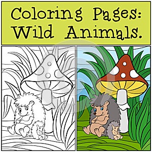 Coloring Pages: Wild Animals. Mother hedgehog with her little cute baby hedgehog.