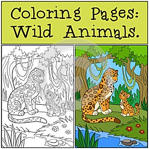 Coloring Pages: Wild Animals. Mother jaguar with her cub.