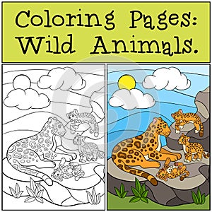 Coloring Pages: Wild Animals. Mother jaguar with her cubs.