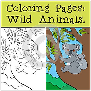 Coloring Pages: Wild Animals. Mother koala with her cute baby.