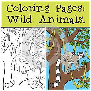 Coloring Pages: Wild Animals. Mother lemur with her baby.