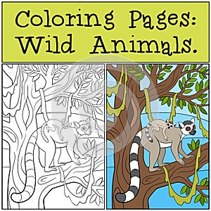 Coloring Pages: Wild Animals. Mother lemur with her baby.